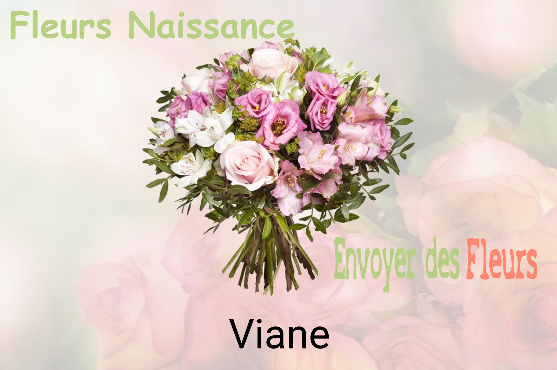 Bouquet de fleurs de naissance livré à Viane