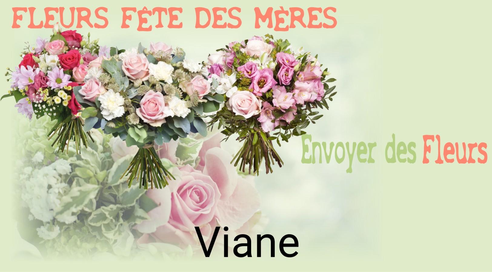 Bouquet de Fête des Mères livré à Viane